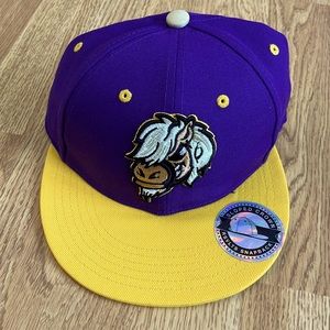 RSVLTS SnapBack Hat - Sebastian Sloped hat. Purple/yellow.